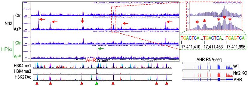 Int J Biol Sci Image