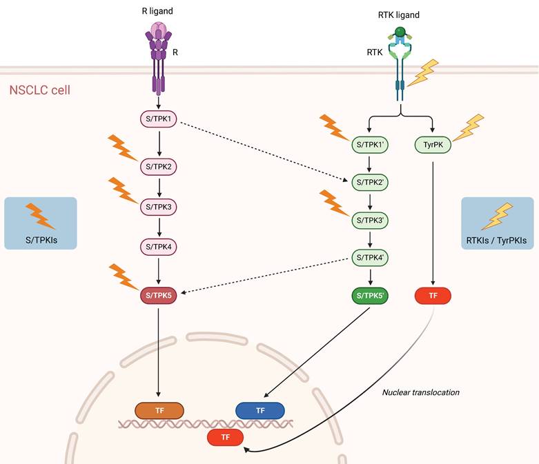 Int J Biol Sci Image