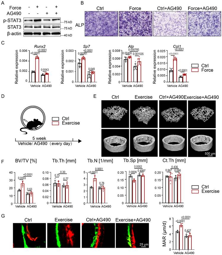 Int J Biol Sci Image