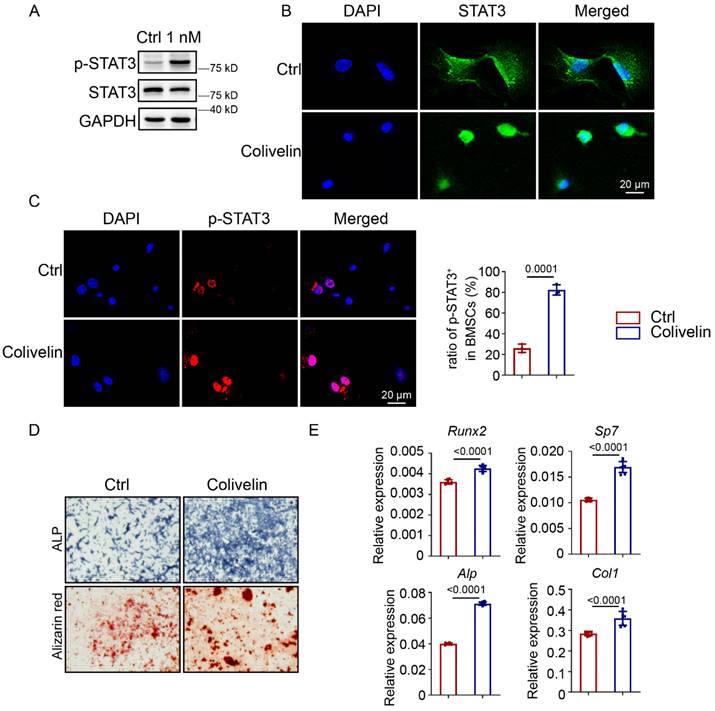 Int J Biol Sci Image