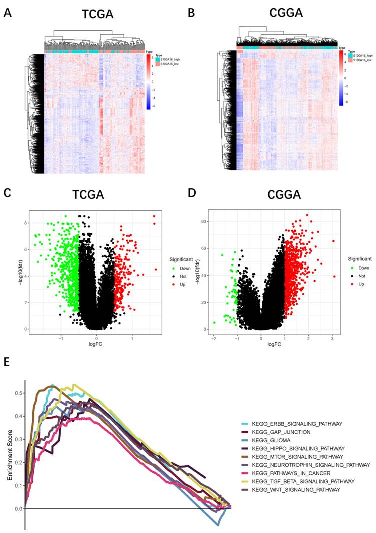 Int J Biol Sci Image