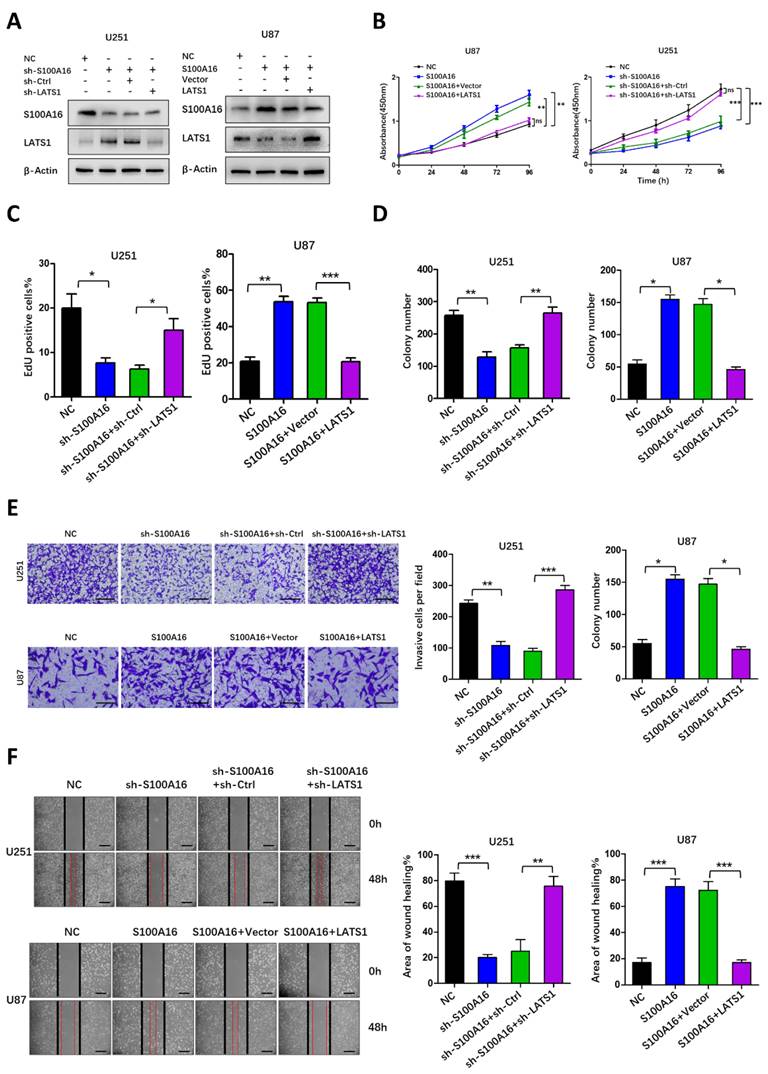 Int J Biol Sci Image