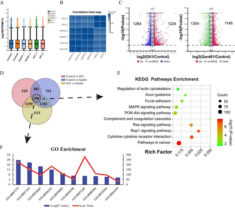 Int J Biol Sci Image