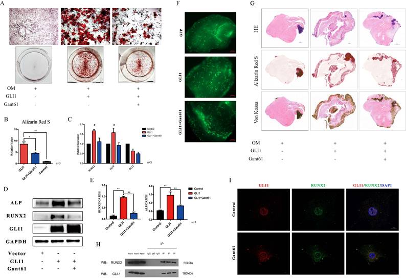 Int J Biol Sci Image