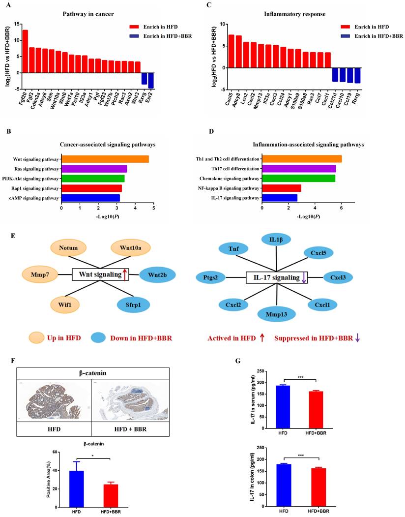 Int J Biol Sci Image