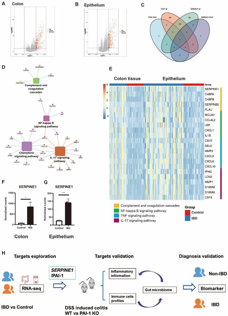 Int J Biol Sci Image