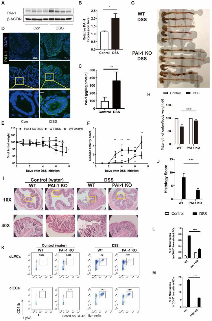 Int J Biol Sci Image