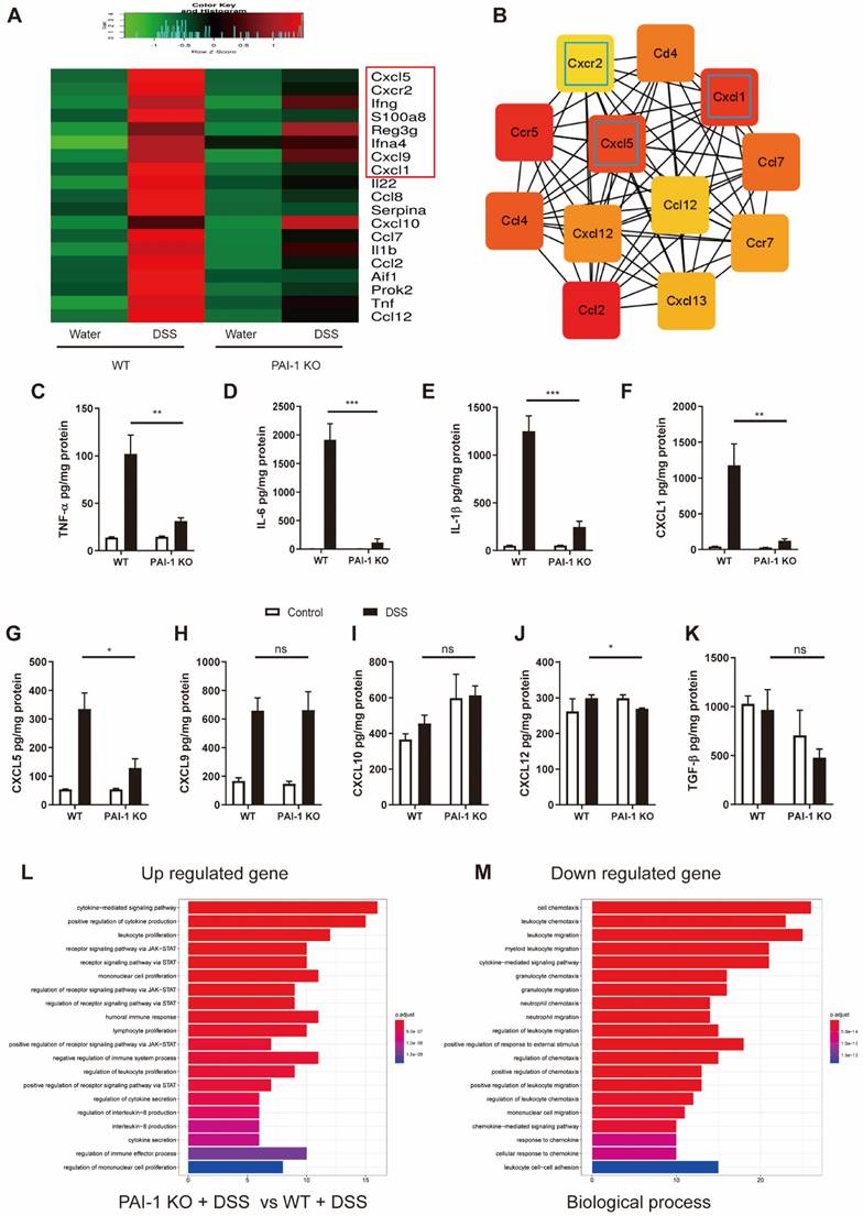 Int J Biol Sci Image