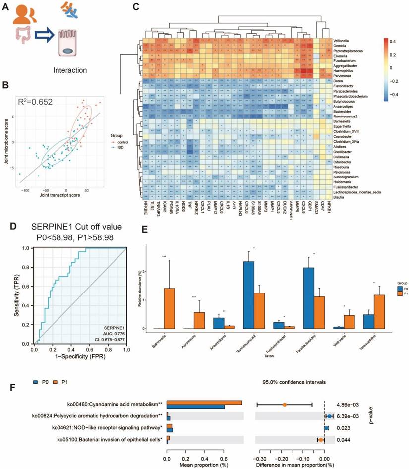 Int J Biol Sci Image