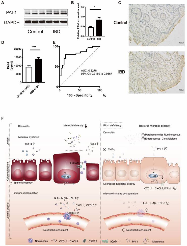 Int J Biol Sci Image