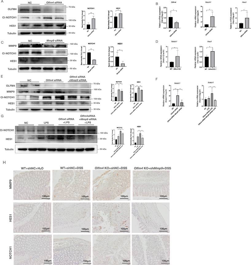 Int J Biol Sci Image