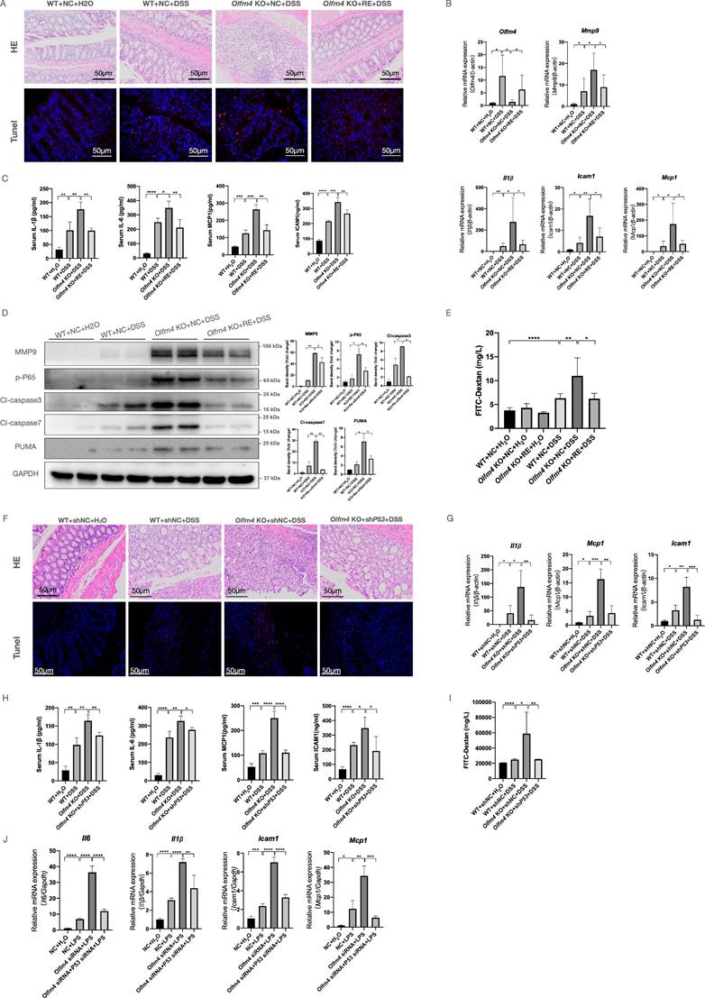 Int J Biol Sci Image