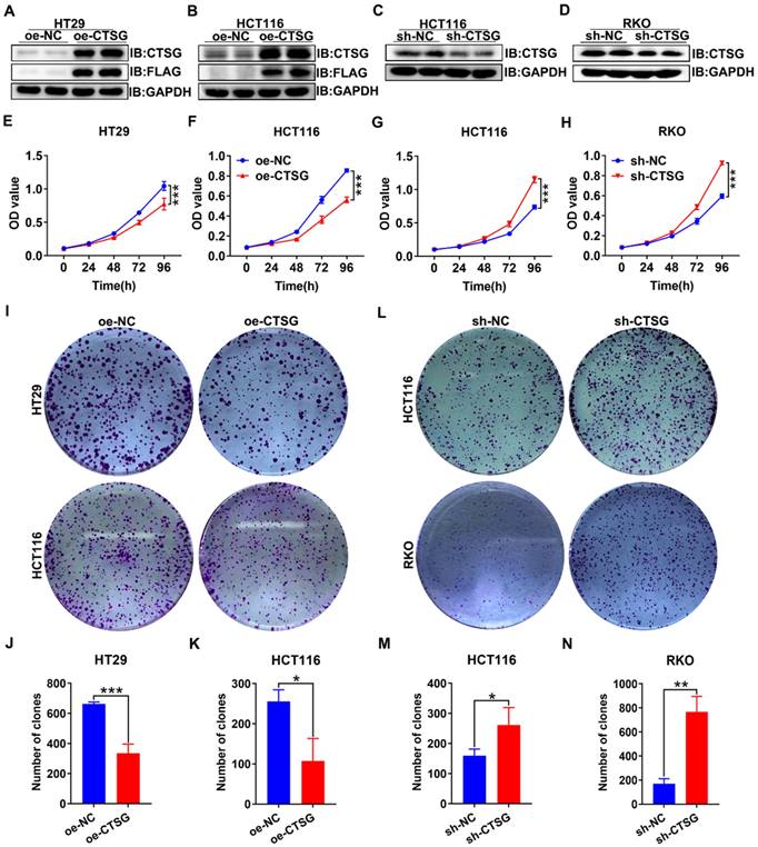 Int J Biol Sci Image