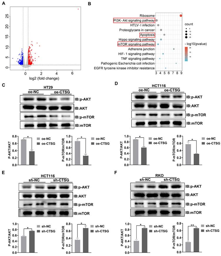 Int J Biol Sci Image