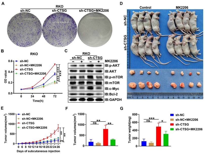 Int J Biol Sci Image