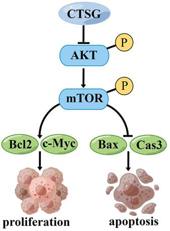 Int J Biol Sci Image