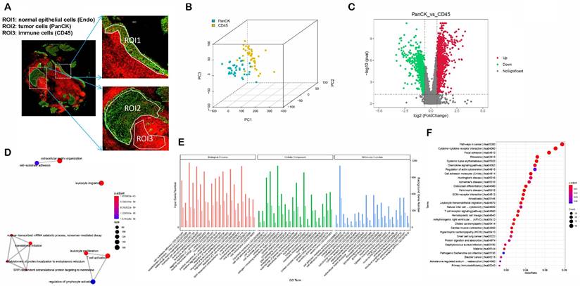 Int J Biol Sci Image