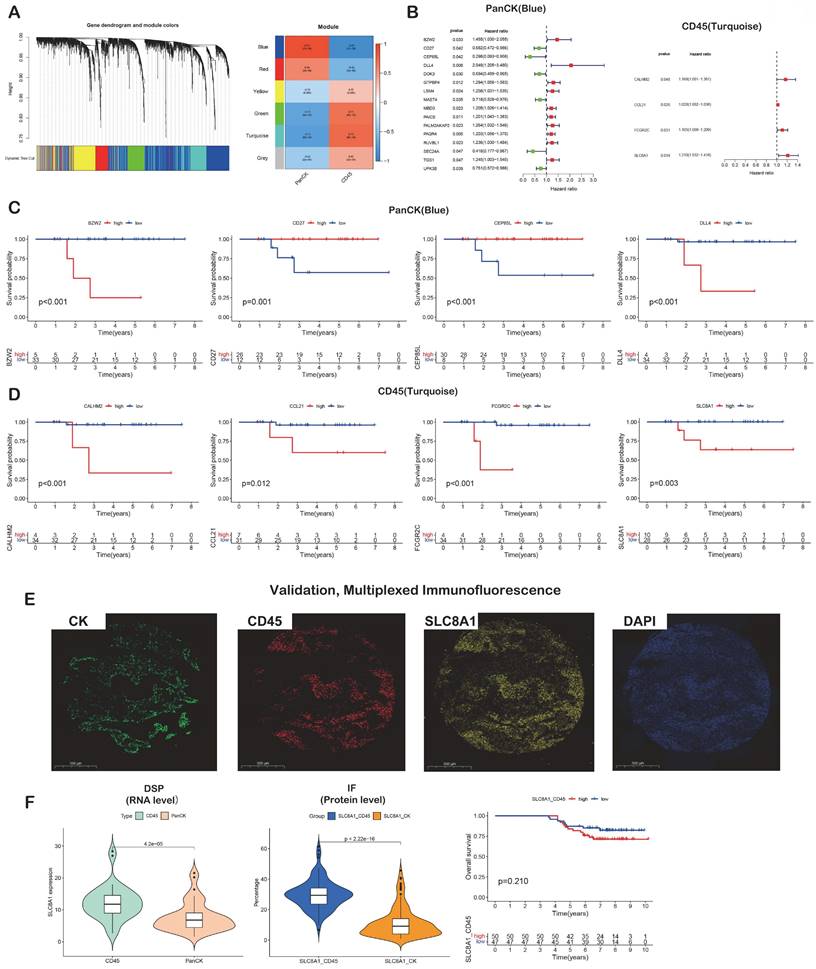 Int J Biol Sci Image