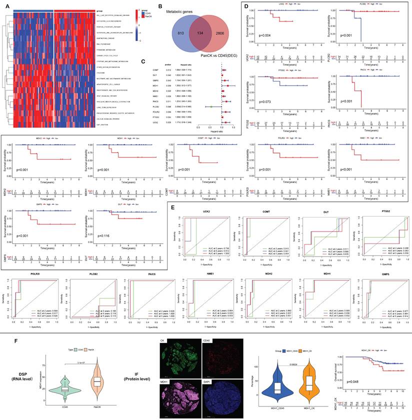 Int J Biol Sci Image