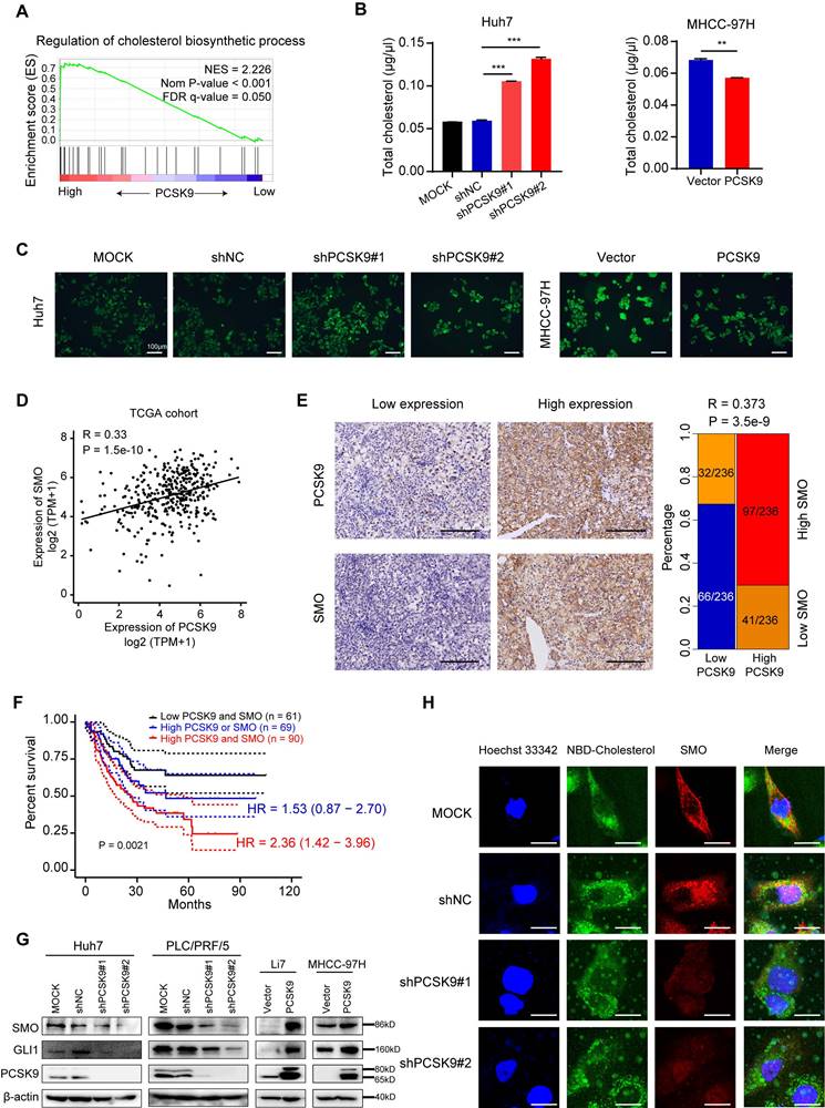 Int J Biol Sci Image