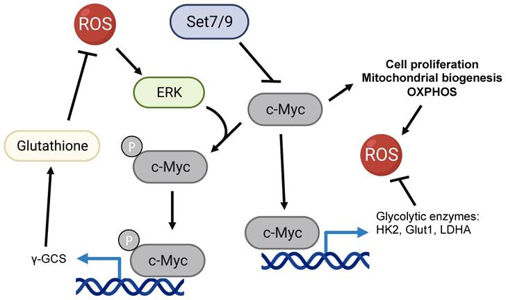 Int J Biol Sci Image