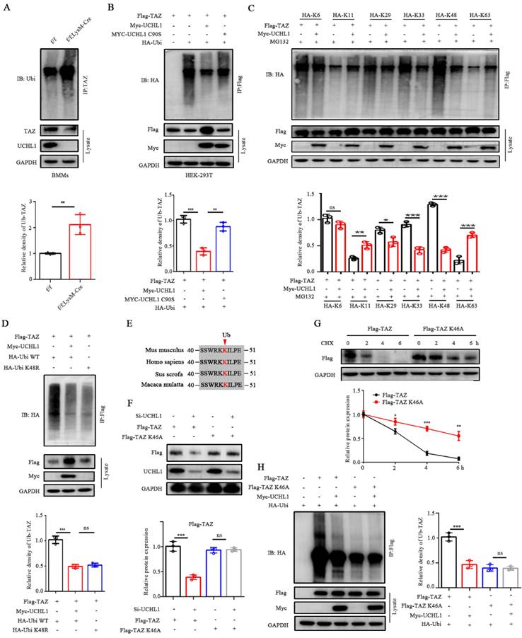 Int J Biol Sci Image