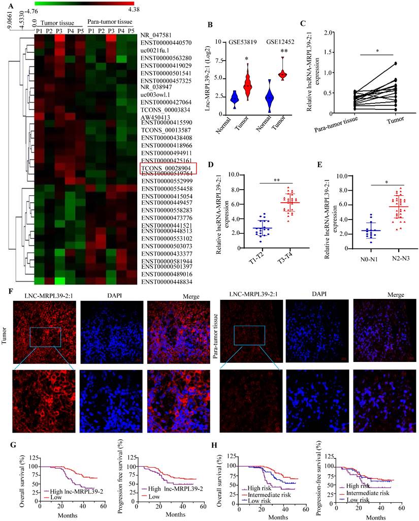 Int J Biol Sci Image