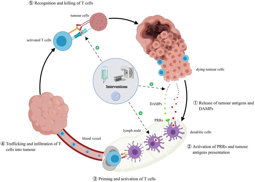 Int J Biol Sci Image