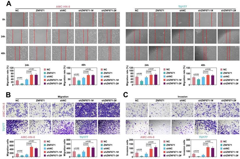 Int J Biol Sci Image