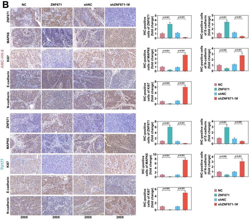 Int J Biol Sci Image