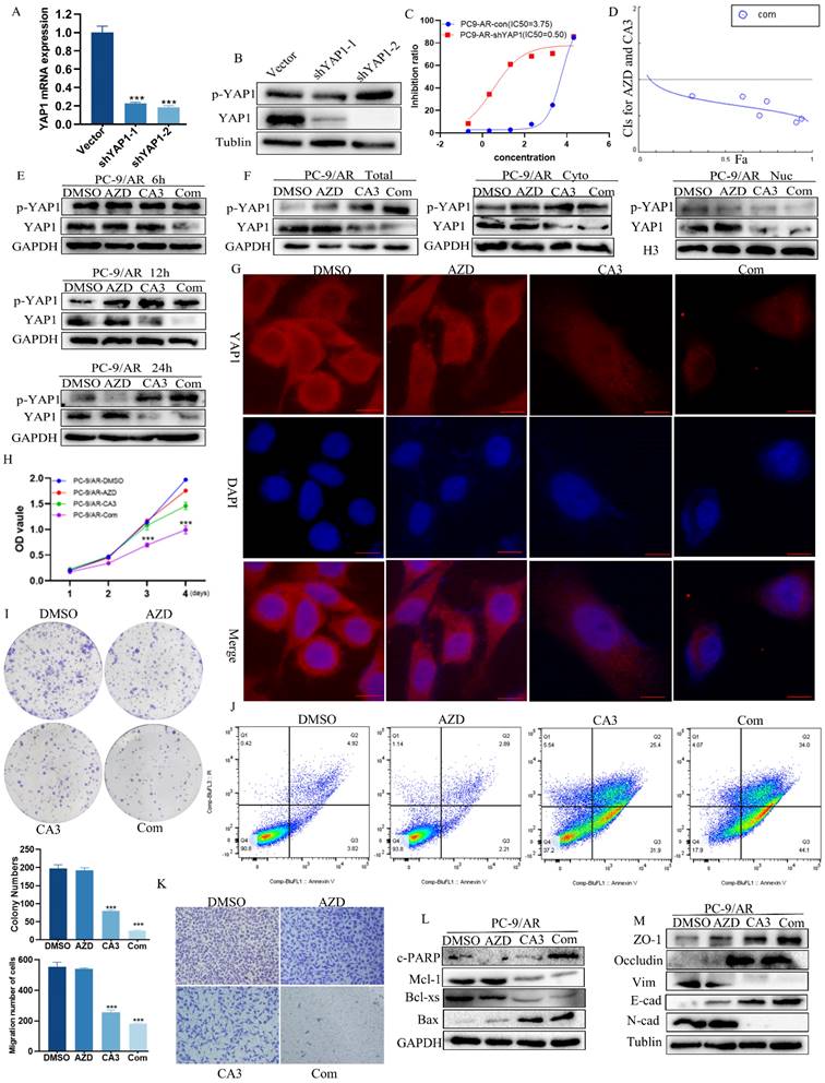 Int J Biol Sci Image