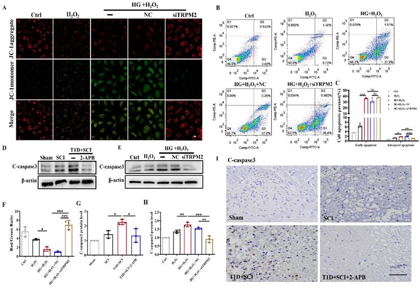 Int J Biol Sci Image