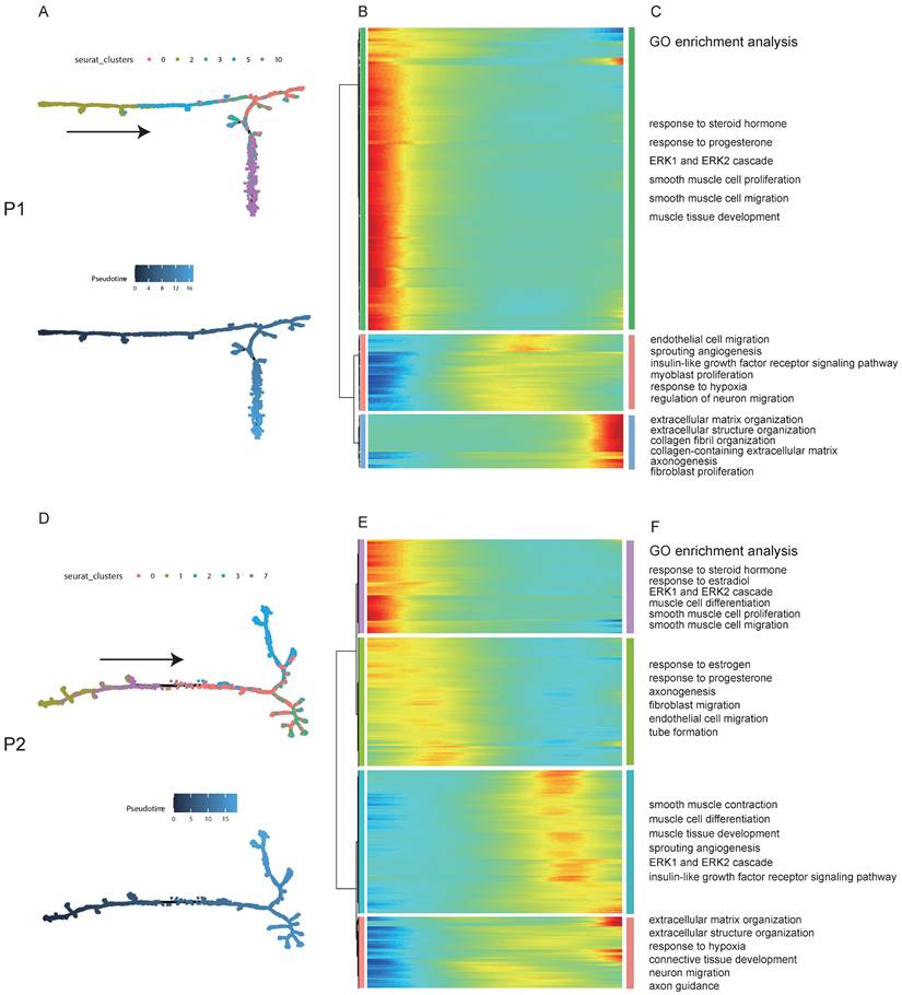 Int J Biol Sci Image