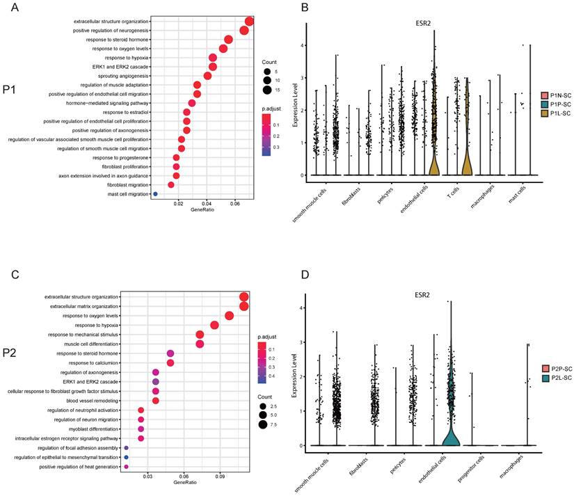 Int J Biol Sci Image