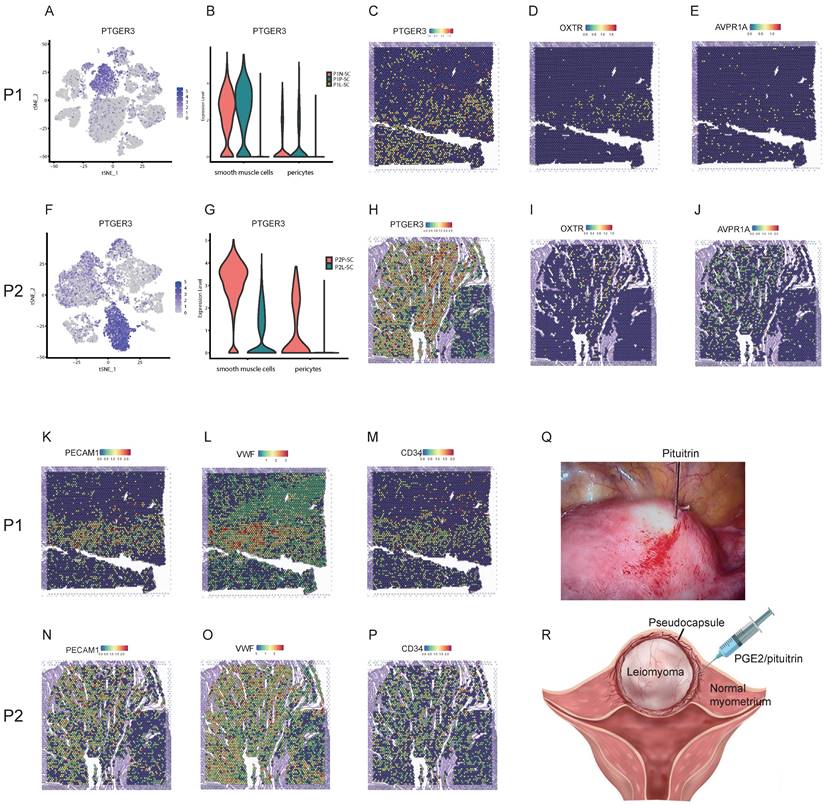 Int J Biol Sci Image