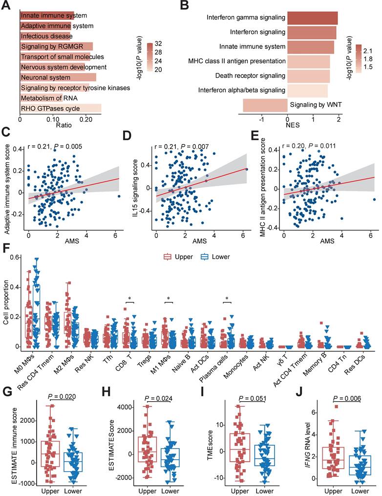 Int J Biol Sci Image