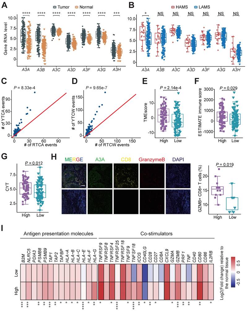 Int J Biol Sci Image