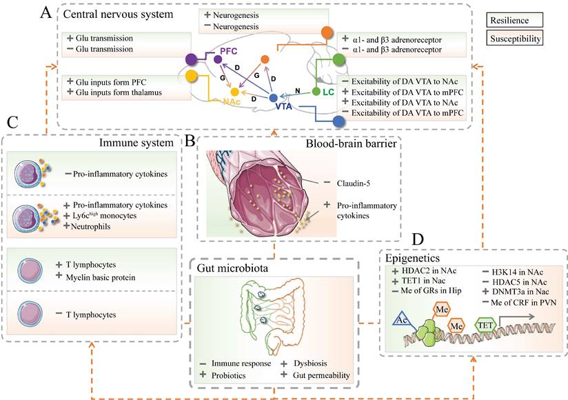 Int J Biol Sci Image