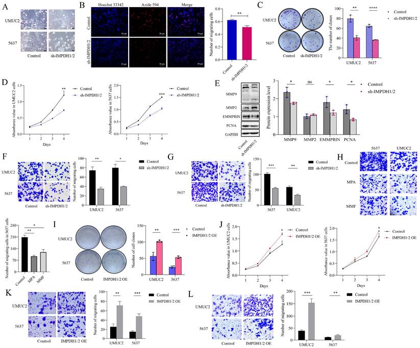 Int J Biol Sci Image