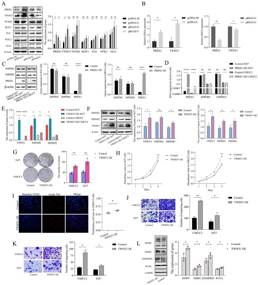 Int J Biol Sci Image