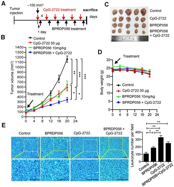 Int J Biol Sci Image