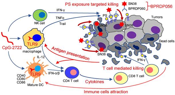 Int J Biol Sci Image