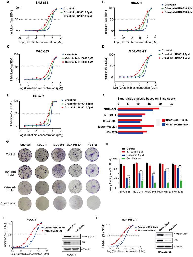 Int J Biol Sci Image