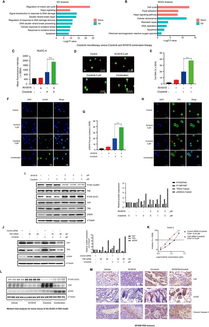 Int J Biol Sci Image