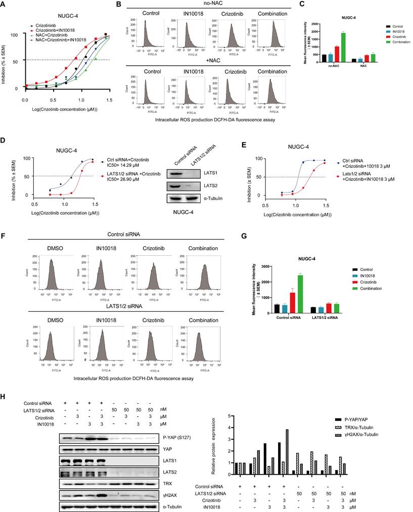 Int J Biol Sci Image