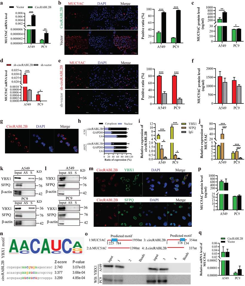 Int J Biol Sci Image