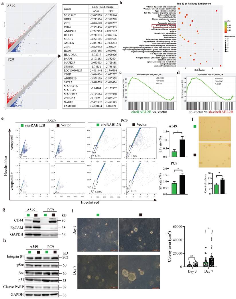 Int J Biol Sci Image