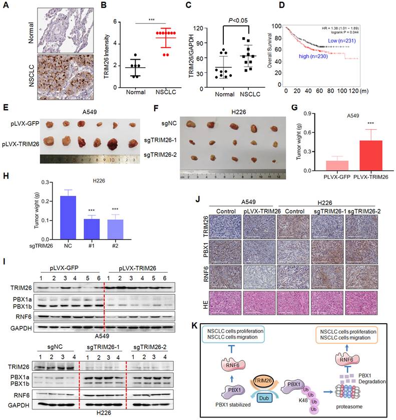 Int J Biol Sci Image