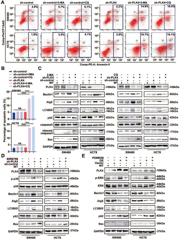 Int J Biol Sci Image