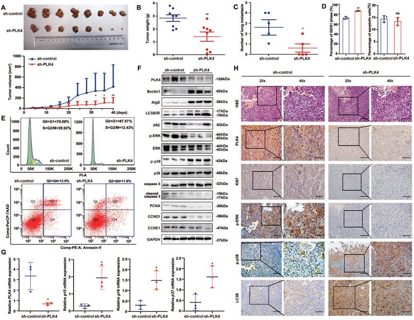 Int J Biol Sci Image